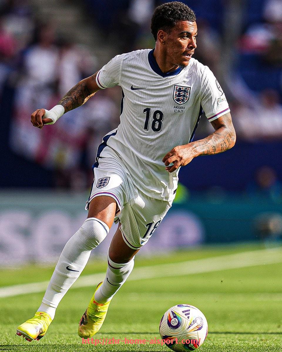 爱体育-法甲直播平台市场份额及用户行为研究